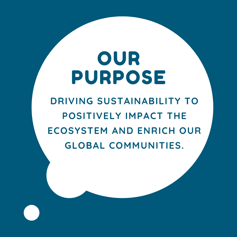 our-purpose_pg