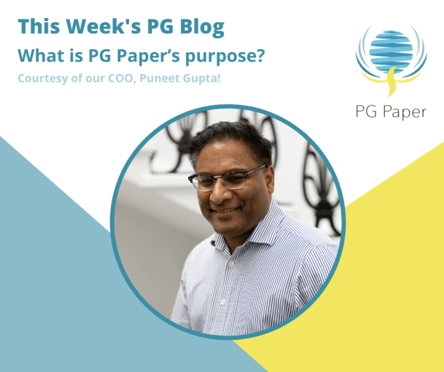 What is PG Paper’s Purpose?